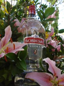 sobieski 4